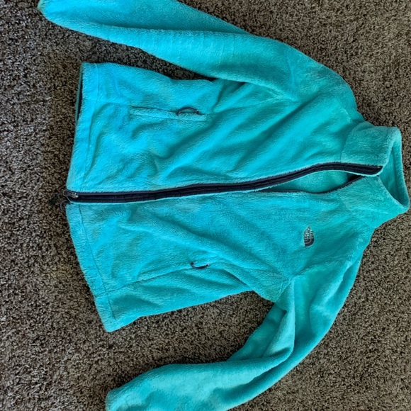 The North Face Jackets & Blazers - Northface